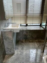 Skyline Residences (D4), Condominium #481237881